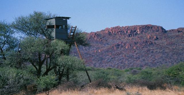 Jagen in Namibia am Waterberg