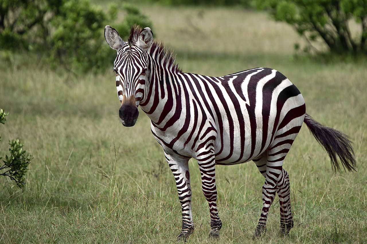 Jagdfarm Namibia